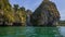 Large green tree plant rock in the sea