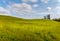 A large green and yellow field of high grass is growing on an expansive hillside.