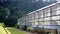 Large greenhouse located in the countryside in Chiang Mai, Thailand.