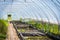 Large greenhouse, plant nursery, garden centre