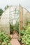 Large greenhouses for growing homemade vegetables. The concept of gardening and life in the country.
