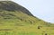 Large group of abandoned gigantic Moai statues on the slope of Rano Raraku volcano, the legendary Moai quarry on Easter Island