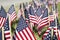 Large Group of American Flags - Shallow DOF