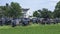 Large Group of Amish Horse and Buggies for an Event, in Lancaster, Pennsylvania