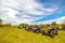 a large group of ATVs stand in the background against the blue sky on a summer sunny day. Russian fans of pokatushek gathered in