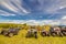 a large group of ATVs stand in the background against the blue sky on a summer sunny day. Russian fans of pokatushek gathered in