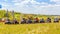 a large group of ATVs stand in the background against the blue sky on a summer sunny day. Russian fans of pokatushek gathered in n