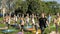 A large group of children engaged in yoga in the Park sitting on the grass