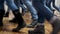 Large group of children synchronously dance in blue jeans and black boots. training