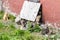 Large group of cute homeless kittens sitting near the stonewall and looking at camera