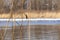 Large group gulls on frozen river. Rivergull on the ripple water.