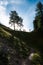 Large group of hikers in silhouette take a break under a tree with the sun shining through them