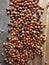 Large group of ladybirds some non-native to the UK hibernating inside wooden waste bin