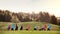 A large group of multi generation sport people standing in nature, stretching.