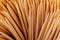 A large group of pointed, sharp toothpicks made of wood close-up. Texture, pattern, and background of toothpicks