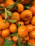 A large group of small oranges and green vines.