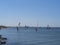 A large group of windsurfers sail in the sea near the beach