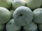 Large group of Winter Melon or Ash Gourd close up