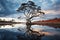 Large Gum Tree Reflected in Water. Generative By Ai