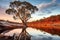 Large Gum Tree Reflected in Water. Generative By Ai