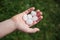 Large hail on the child`s palm.