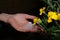 Large hailstones in the palm of your hand