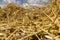 a large harvest of golden wheat on the field in summer