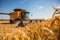 Large harvester combine harvesting grain in summer. Generative AI