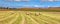 Large hay field