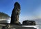Large Haystack Rock On Ruby Beach Olympic National Park Washington