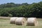 Large haystacks round