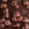 Large hazelnuts in black chocolate