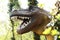 Large Head of an Allosaurus Dinosaur at the Forest