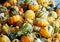 Large heap of pumpkins with different shapes and colors. Close up, food background