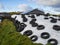 Large heap of silage as animal fodder covered in rubber tires and white plastic on farm in North Germany