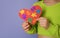 A large heart made of paper with colored puzzles is held in the hands of a child