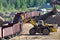 Large heavy front-end loader loading sand it to the freight train