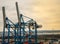 Large heavy lift cranes at the container freight terminal