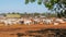 Large herd of australian brahman beef cattle are held at a cattle yard