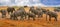 Large herd of elephants on the Hwange Plains with a tourist truck in the distance