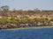 Large herd of water buffalos drinking from Chobe River, Chobe NP, Botswana, Africa