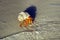 Large hermit crab