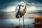large heron standing on long thick legs on shore of lake