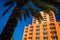 Large hotel and a palm tree in Clearwater Beach, Florida.