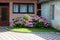 Large Hydrangea or Hortensia garden shrub full of open blooming pink flowers with pointy petals densely planted next to family