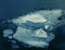 Large ice floes in dark water