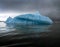 Large Iceberg