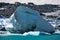 Large Iceberg At The Edge of Grinnell Glacier Lake