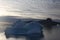 Large icebergs melting rapidly in a fjord in northwest Greenland