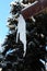 A large icicle on a drainpipe on the roof of the building